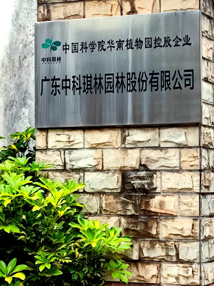 琪林秘境 "挪威森林" 20250404